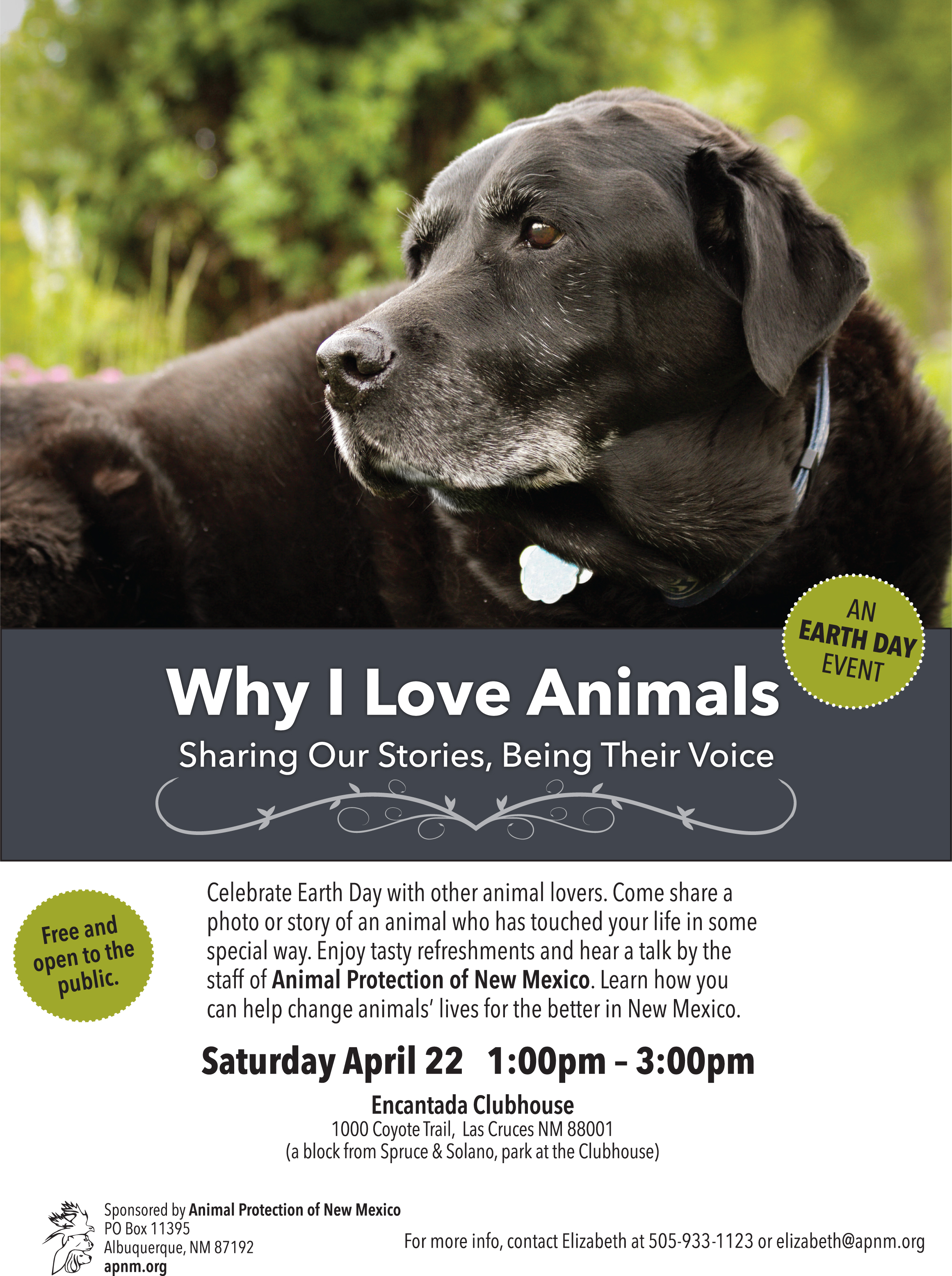 Why I Love Animals: Sharing Our Stories, Being Their Voice