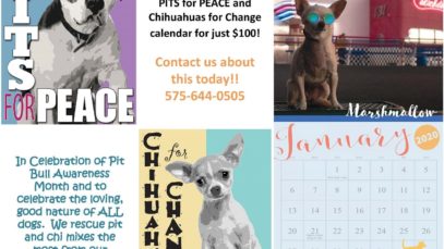 Mesquite Animal Vaccination Clinic - Dog'Cruces